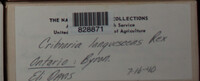 Image Associated With the Occurence